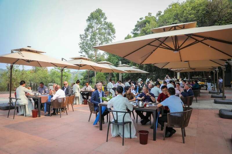 18国使节走进大益  共植友谊茶园，解码“茶香外交”的中国式浪漫