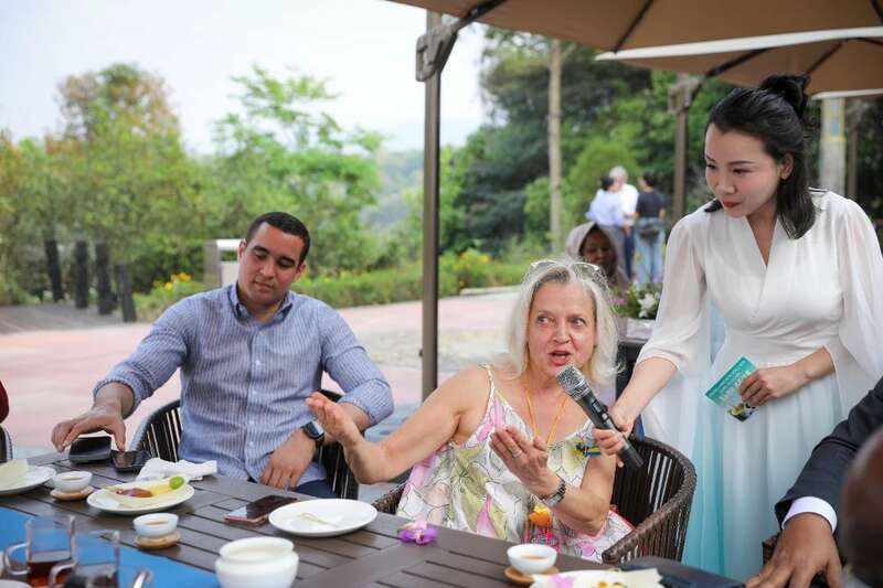 18国使节走进大益  共植友谊茶园，解码“茶香外交”的中国式浪漫