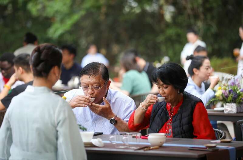18国使节走进大益  共植友谊茶园，解码“茶香外交”的中国式浪漫