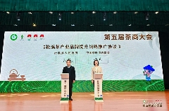引八方茶客·品松溪茶韵——第五届茶商大会盛大开幕