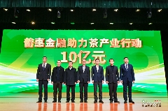 引八方茶客·品松溪茶韵——第五届茶商大会盛大开幕