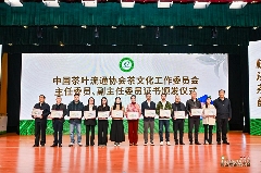 引八方茶客·品松溪茶韵——第五届茶商大会盛大开幕