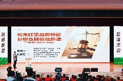 引八方茶客·品松溪茶韵——第五届茶商大会盛大开幕