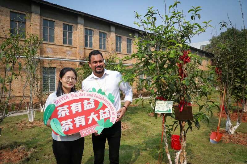 18国使节走进大益  共植友谊茶园，解码“茶香外交”的中国式浪漫