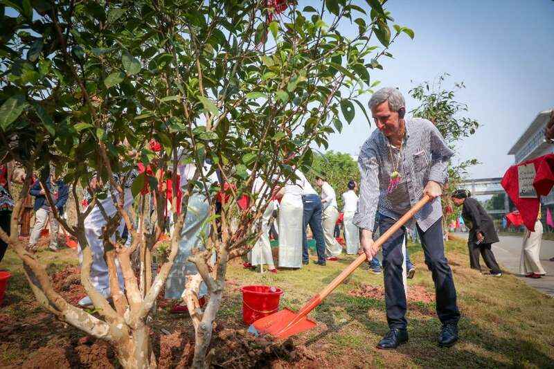 18国使节走进大益  共植友谊茶园，解码“茶香外交”的中国式浪漫