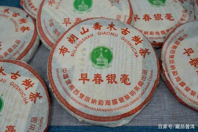 八角亭2005年早春银毫501批品鉴 老茶收藏价值分析