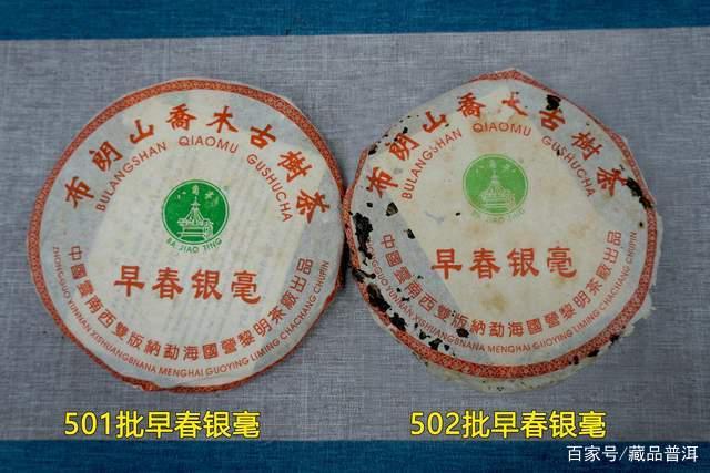 八角亭2005年早春银毫501批品鉴 老茶收藏价值分析