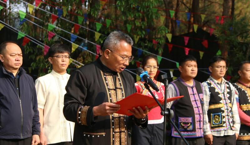 景谷县威远镇酸枣树茶正式开采