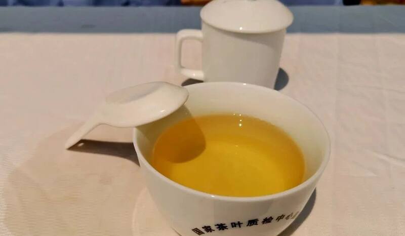 景谷县威远镇酸枣树茶正式开采