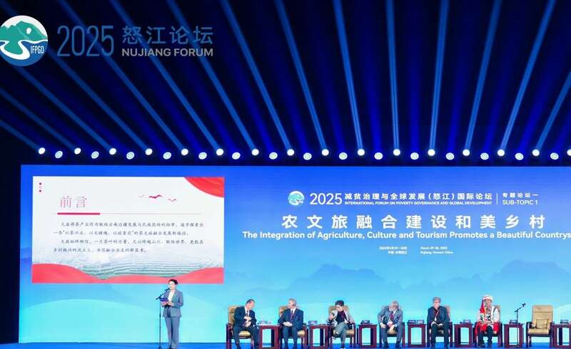 2025怒江国际论坛 张亚峰做专题发言：以茶文旅融合赋能边疆乡村可持续发展