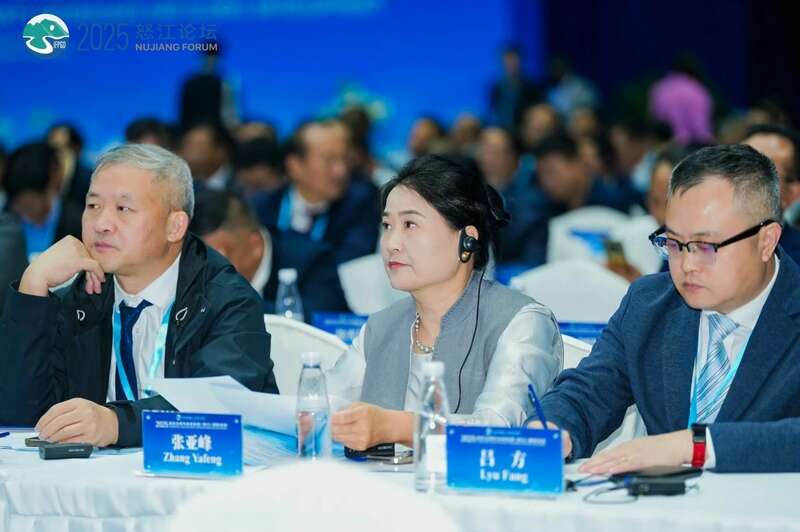 2025怒江国际论坛 张亚峰做专题发言：以茶文旅融合赋能边疆乡村可持续发展