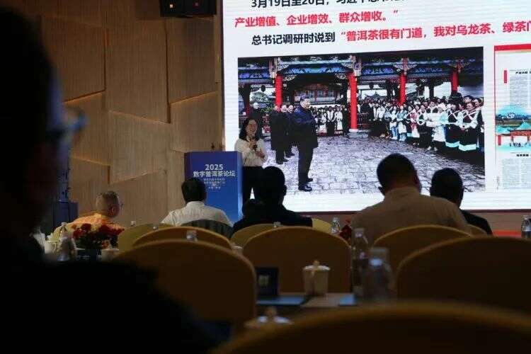 2025数字普洱茶论坛在勐海县举办