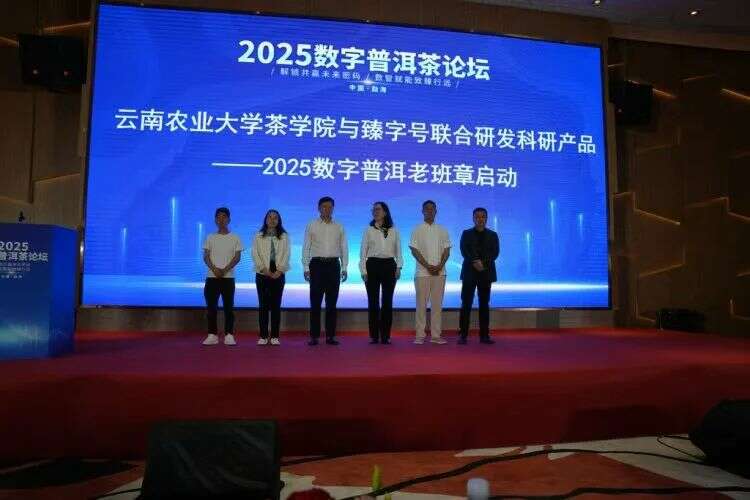 2025数字普洱茶论坛在勐海县举办