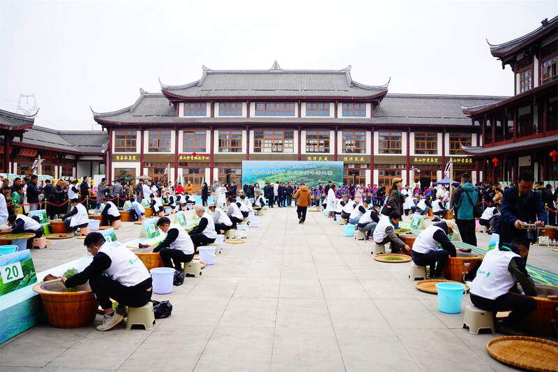 守千年茶脉·创数字未来：首届“屏山炒青杯”四川炒青斗茶大赛精彩开赛