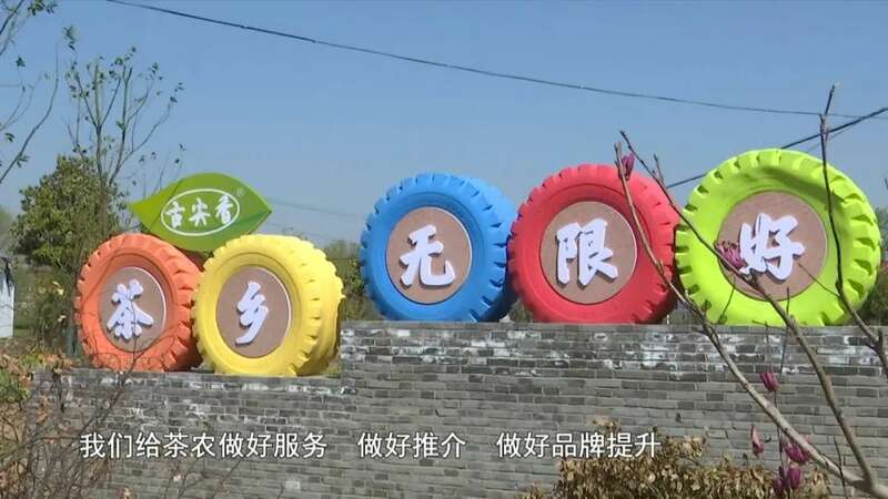 春茶采摘忙，第一波徽茶已陆续上市