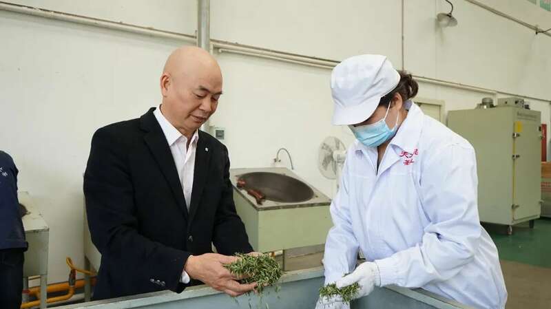 5.2亿元订单落地 茶企开足马力保交付！