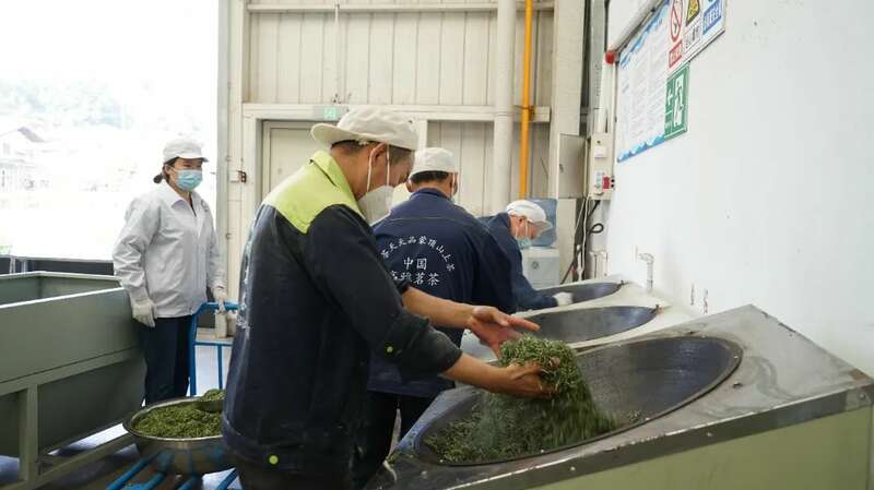 5.2亿元订单落地 茶企开足马力保交付！