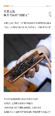 名茶之选·壹号担当 陈升号2025年“陈升一号”面市