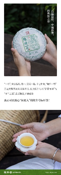 名茶之选·壹号担当 陈升号2025年“陈升一号”面市