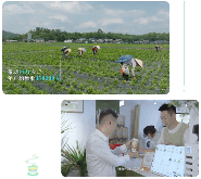 芬芳犍为茉莉花茶·香沁天下