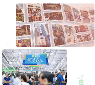 芬芳犍为茉莉花茶·香沁天下