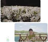 芬芳犍为茉莉花茶·香沁天下