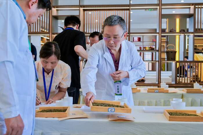 2025“蒙顶山杯”第十届黄茶斗茶大赛暨首届四川黑茶斗茶赛隆重举办