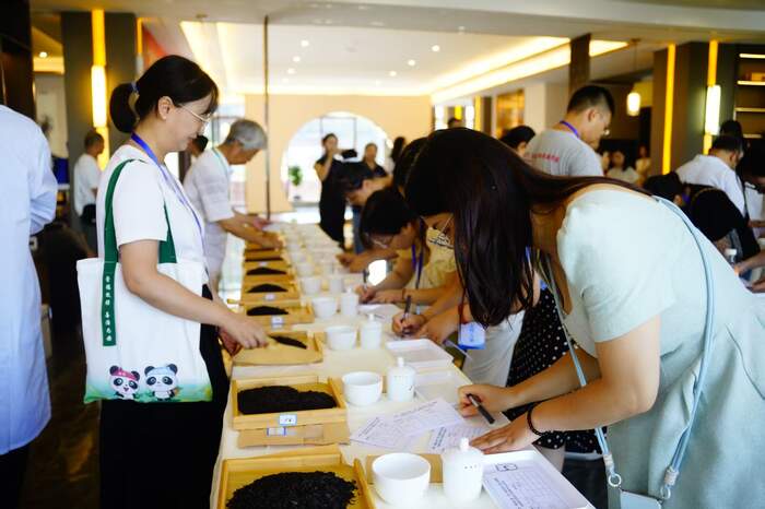 2025“蒙顶山杯”第十届黄茶斗茶大赛暨首届四川黑茶斗茶赛隆重举办