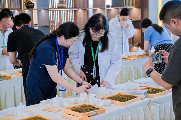 2025“蒙顶山杯”第十届黄茶斗茶大赛暨首届四川黑茶斗茶赛隆重举办