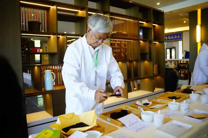 2025“蒙顶山杯”第十届黄茶斗茶大赛暨首届四川黑茶斗茶赛隆重举办