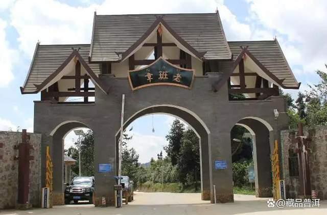 陈升号老班章普洱茶品质解析与品牌发展之路