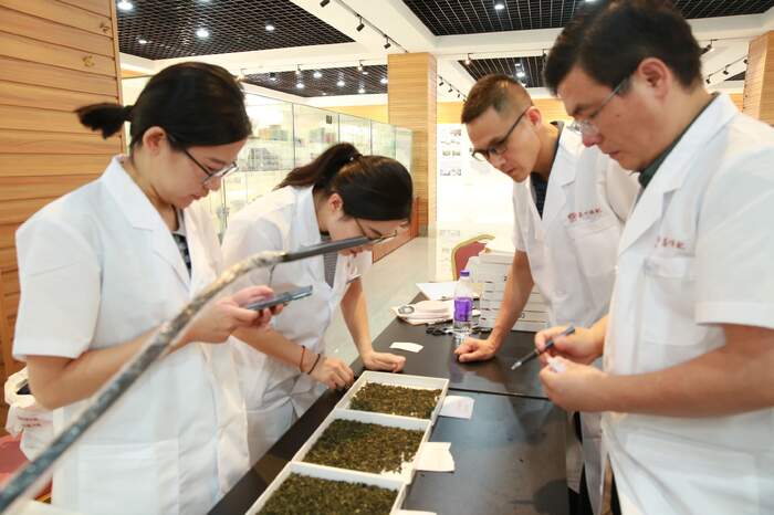 一文把新茶饮基底茶拼配技术说明白