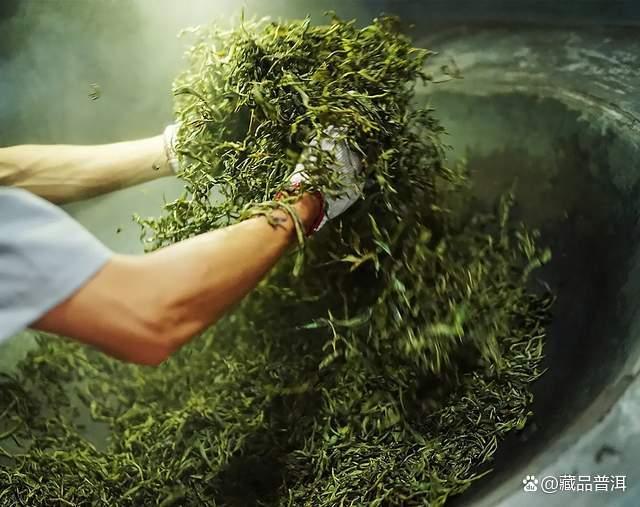 普洱茶存放技巧与选购指南：如何存出好茶的实用方法