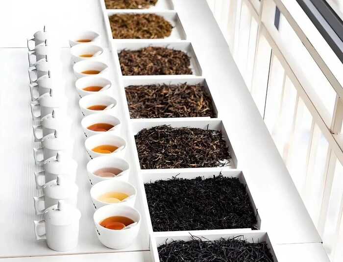 一文把新茶饮基底茶拼配技术说明白