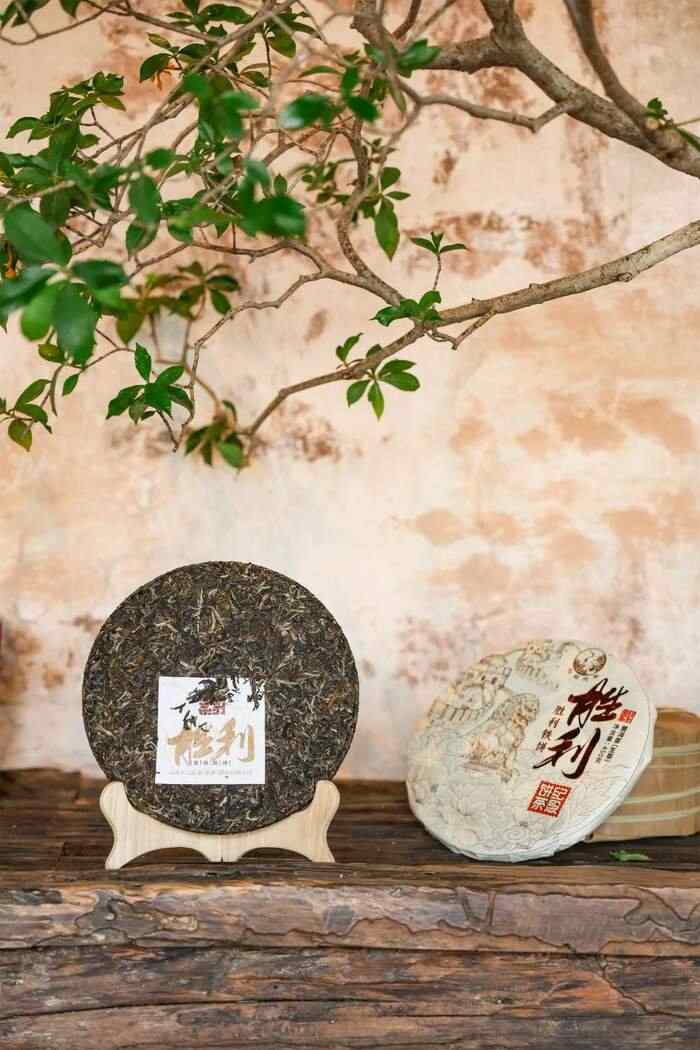 下关沱茶胜利铁饼上市！