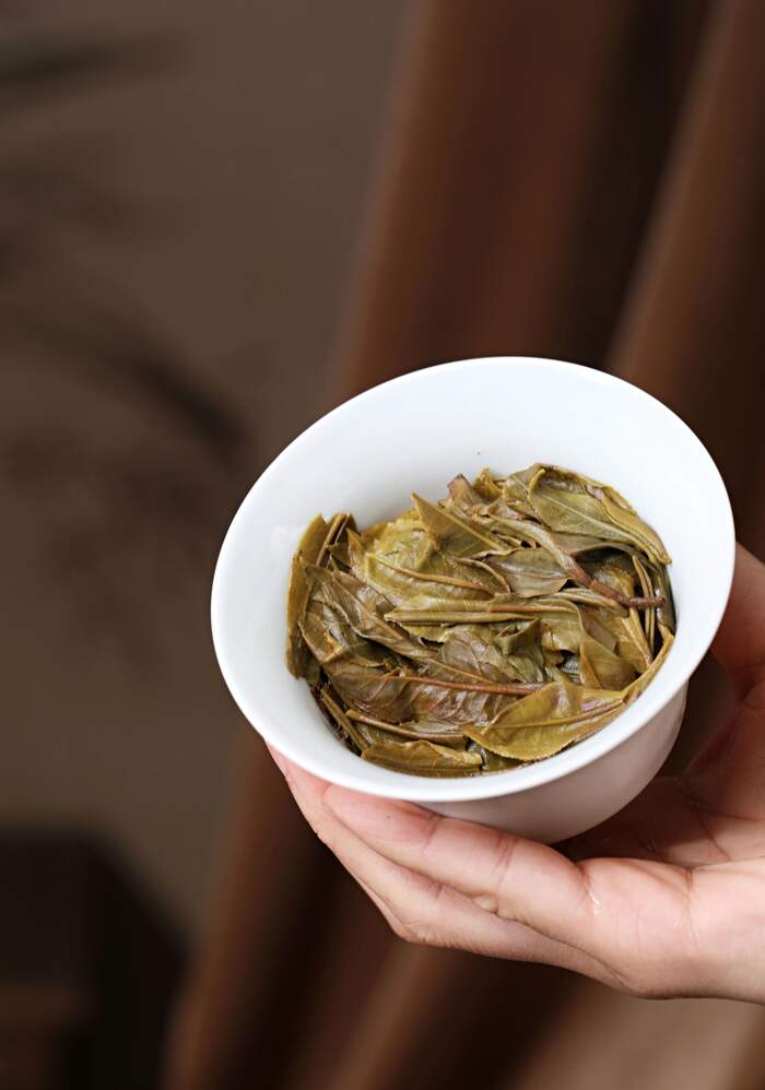 南京国环有机认证   云南七子饼茶，藏尽山林气韵