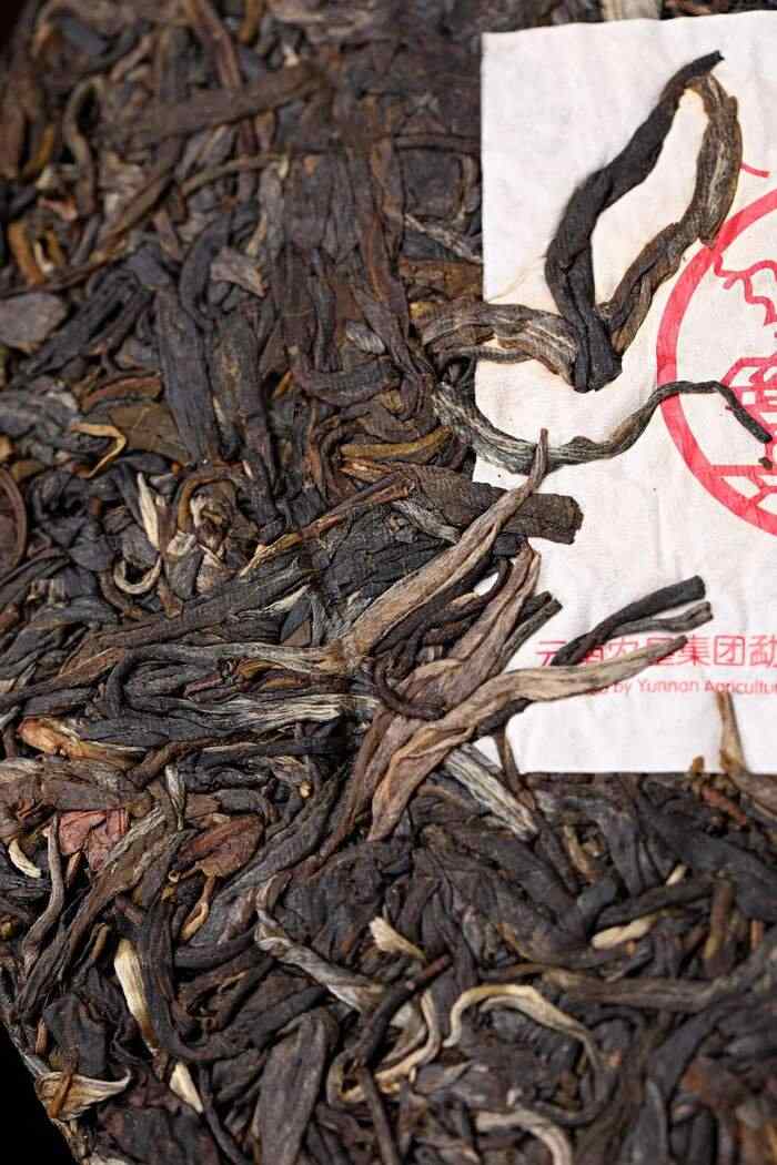 南京国环有机认证   云南七子饼茶，藏尽山林气韵