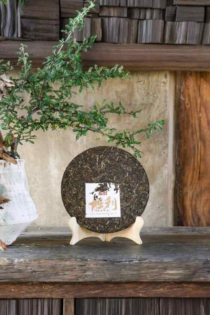 下关沱茶胜利铁饼上市！