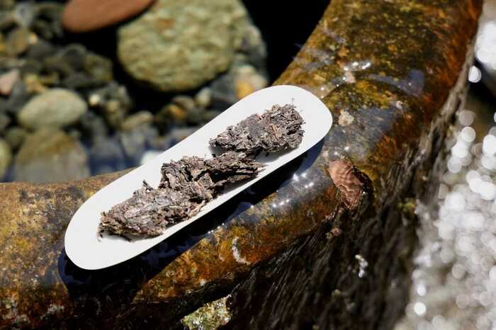 下关沱茶烟香系谱的铁将军——胜利铁饼