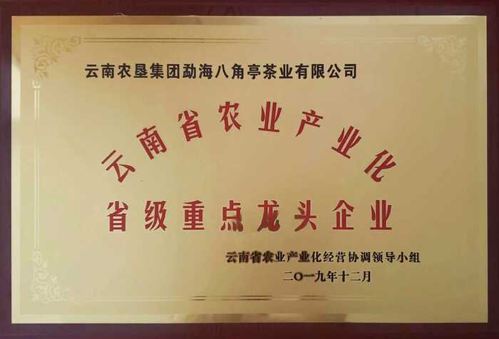 八角亭大事记 新发展时期（2013年至今）