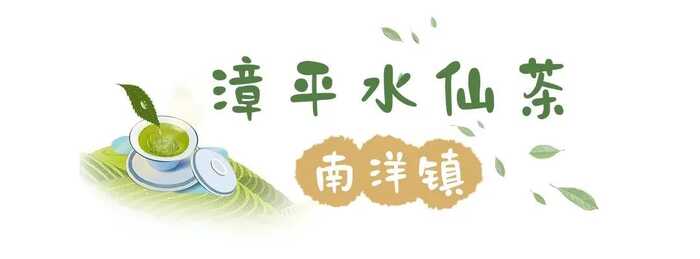 八闽山水育“地标”好茶