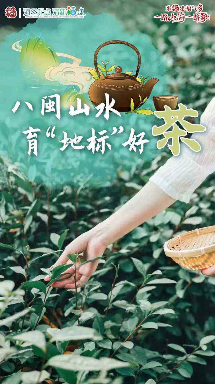 八闽山水育“地标”好茶