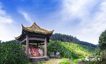 八闽山水育“地标”好茶