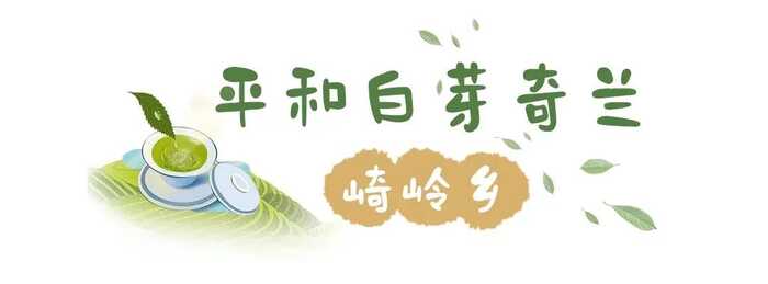 八闽山水育“地标”好茶