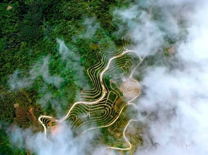 八闽山水育“地标”好茶