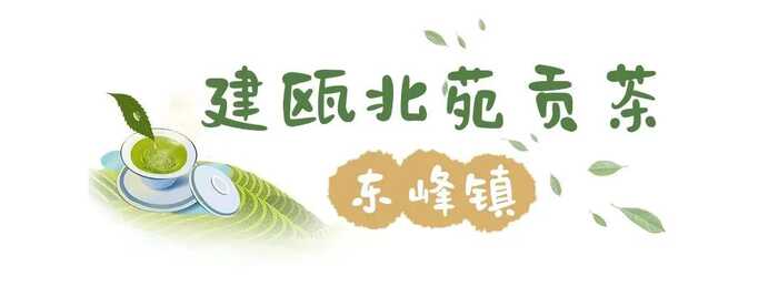 八闽山水育“地标”好茶