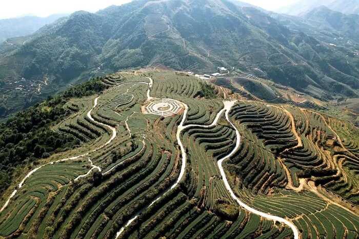 八闽山水育“地标”好茶