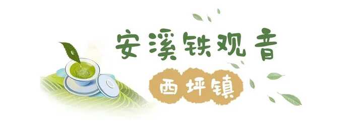 八闽山水育“地标”好茶