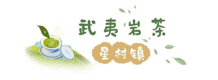 八闽山水育“地标”好茶