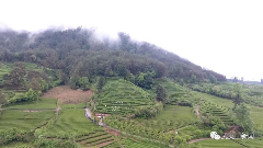 八闽山水育“地标”好茶